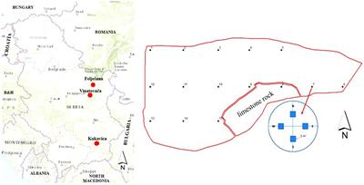 Key drivers affecting the spatial heterogeneity of the regeneration process in old-growth beech forests in southeastern Europe